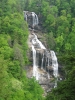 PICTURES/South Carolina Waterfalls/t_White Water Falls 2.jpg